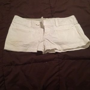 Khaki shorts